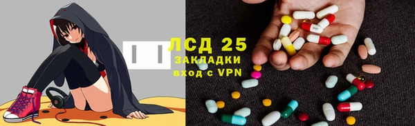 эйфоретик Алзамай