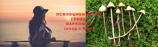гидра Алексин