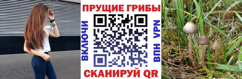Псилоцибиновые грибы Magic Shrooms  Аксай 